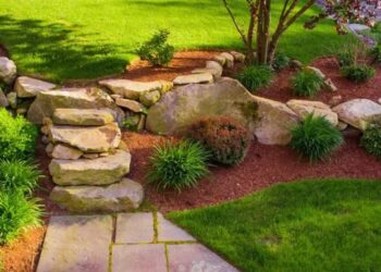5 Cheap Landscaping Ideas When You’re On a Budget – Forbes Home